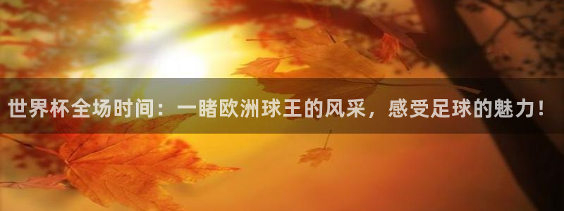2026世界杯赛程时间表最新：世界杯全场时间：一睹欧洲球王的风采，感受足球的魅力！
