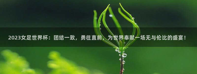 世界杯预选赛直播：2023女足世界杯：团结一致，勇往直前，为世界奉献一场无与伦比的盛宴！