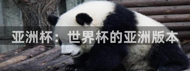 足球比分直播世界杯：亚洲杯：世界杯的亚洲版本