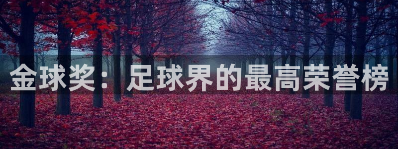 2026足球世界杯赛程：金球奖：足球界的最高荣誉榜