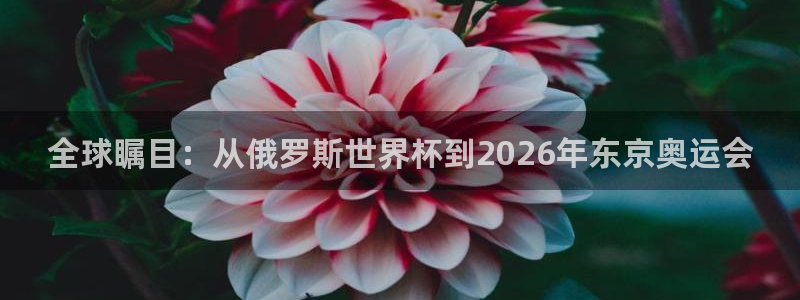 美洲杯直播：全球瞩目：从俄罗斯世界杯到2026年东京奥运会