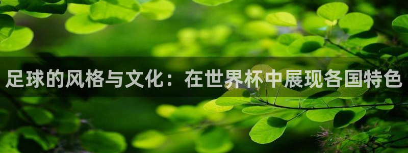 2026世界杯亚洲区预选赛赛程：足球的风格与文化：在世界杯中展现各国特色