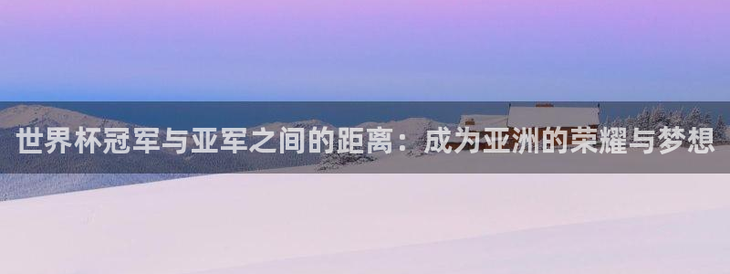 世界杯48支球队赛制：世界杯冠军与亚军之间的距离：成为亚洲的荣耀与梦想