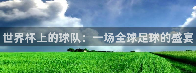 足球世界杯：世界杯上的球队：一场全球足球的盛宴