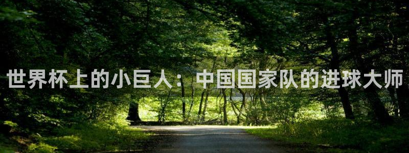 2026世界杯德国队阵容：世界杯上的小巨人：中国国家队的进球大师