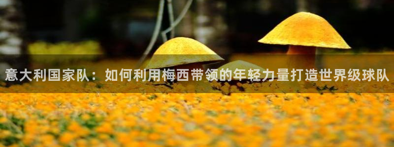 世界杯直播高清：意大利国家队：如何利用梅西带领的年轻力量打造世界级球队