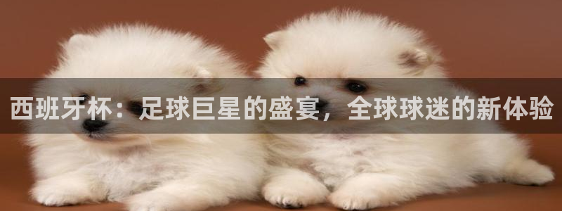 世界杯预选赛欧洲赛区赛程：西班牙杯：足球巨星的盛宴，全球球迷的新体验