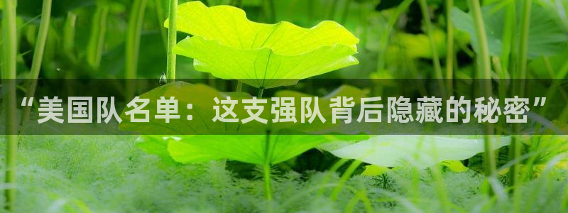 世界杯预选赛：“美国队名单：这支强队背后隐藏的秘密”