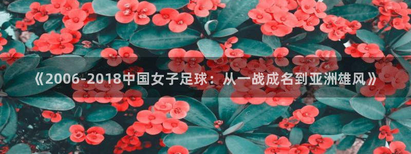 世界杯直播免费观看：《2006-2018中国女子足球：从一战成名到亚洲雄风》