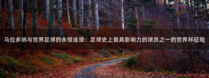 世界杯预选赛亚洲区积分榜：马拉多纳与世界足球的永恒连接：足球史上最具影响力的球员之一的世界杯征程