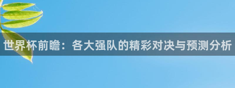 足球世界杯：世界杯前瞻：各大强队的精彩对决与预测分析